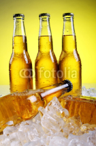 Fototapety Bottles of cold and fresh beer with ice