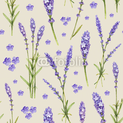 Lavender flower illustrations. Watercolor pattern