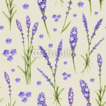 Naklejki Lavender flower illustrations. Watercolor pattern
