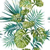 Obrazy i plakaty Jungle leaves on a white background. Tropical green Monstera.