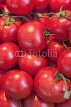 Naklejki Tomato background