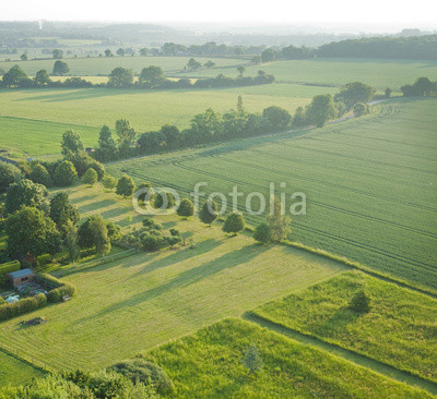 view over the early summer green fields