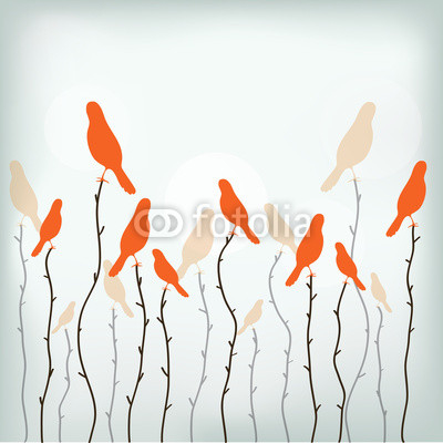 paradise birds on the branches vector