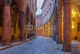 Obrazy i plakaty Bologna -  Via Santo Stefano (St. Stephen) street