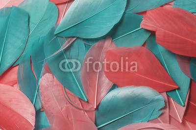 Multi-colored bird feathers of different colors: red, pink and green are scattered all over the field of the frame.