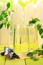 Naklejki Glasses of birch sap on green wooden table