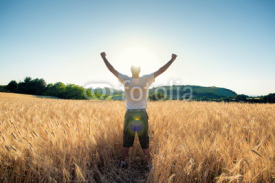golden wheat field in with free happy man a sunny day