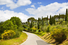 Naklejki Italy. Tuscany. Rural landscape with a road