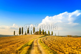Tuscany, farmland, cypress trees and road. Siena, Italy.
