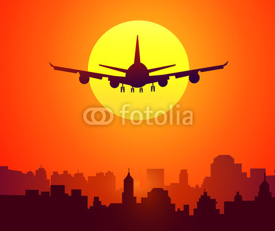 City Sunset & Afternoon Flight-Vector