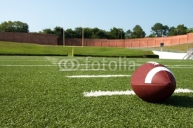 Naklejki Closeup of American Football  on Field