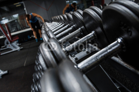 Fototapety Dumbbells in gym
