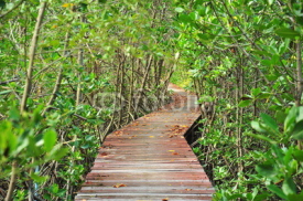 Naklejki Wooden Pathway in Mangrove Forests 