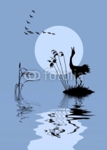 Naklejki silhouette of the birds on lake