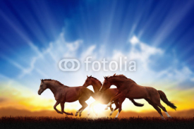 Fototapety Running horses