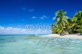 Fototapety tropical beach