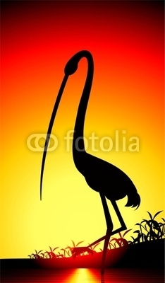 Illustration of crane in colour background
