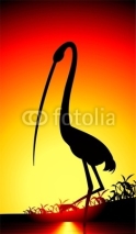 Fototapety Illustration of crane in colour background
