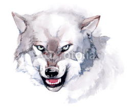 Obrazy i plakaty wolf