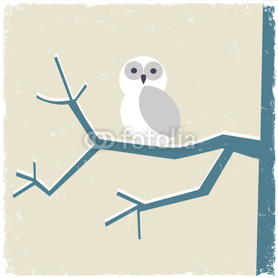 Snowy white owl