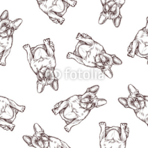 Fototapety Pattern Dogs