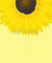 Naklejki Decorative sunflower graphic