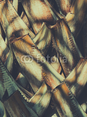 Abstract vintage tropical natural pattern. Retro toned.  