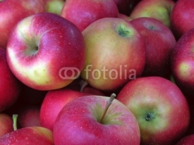 Fototapety red apples