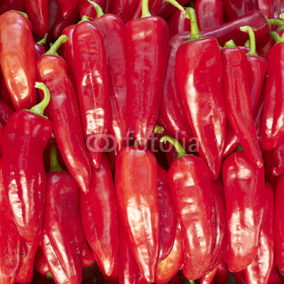 red hot chilli peppers for sale
