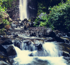 Obrazy i plakaty Waterfall in Indonesia