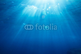 Obrazy i plakaty Underwater shot with sunrays and fishes in deep tropical sea