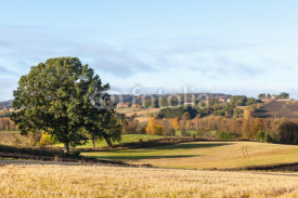 Naklejki countryside view