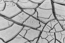 Fototapety dry soil