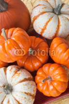 Fototapety pumpkins