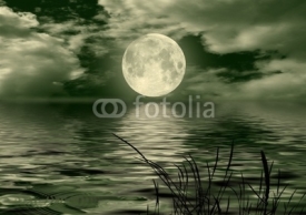 Naklejki Full moon image with water