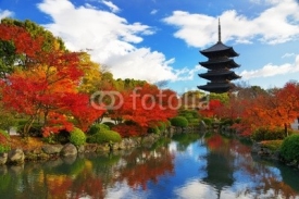 Fototapety Toji Pagoda in Kyoto, Japan
