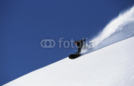 Fototapety snowboard powder