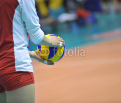 Fototapety volleyball in hand