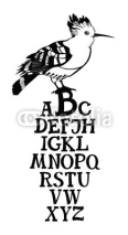 Fototapety Birds collection Poster Alphabet with Hoopoe bird