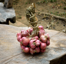 Naklejki Shallot onions in a group on wood