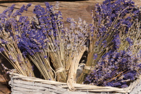 Obrazy i plakaty Sommerernte - Lavendel getrocknet im Korb