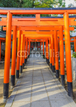 Obrazy i plakaty Torii gates of a small Inari shrine at Ikuta-jinja in Kobe