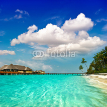 Naklejki paradise island landscape. palm beach