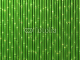 Obrazy i plakaty Bamboo wall