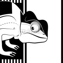 Fototapety Chameleon on black and white background