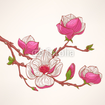 Naklejki pink blooming magnolia