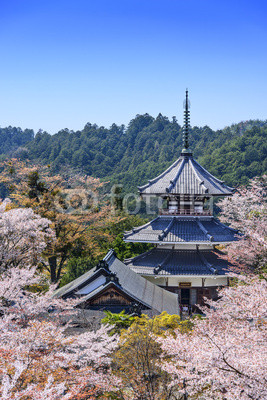 Yoshinoyama, Japan at Kinpusenji Pagoda