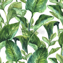 Naklejki Watercolor Seamless Background with Tropical Leaves