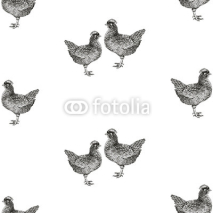 Naklejki Seamless vector pattern with hens and chicks.