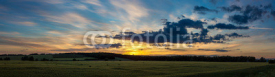 Fototapety wheat field on sunset